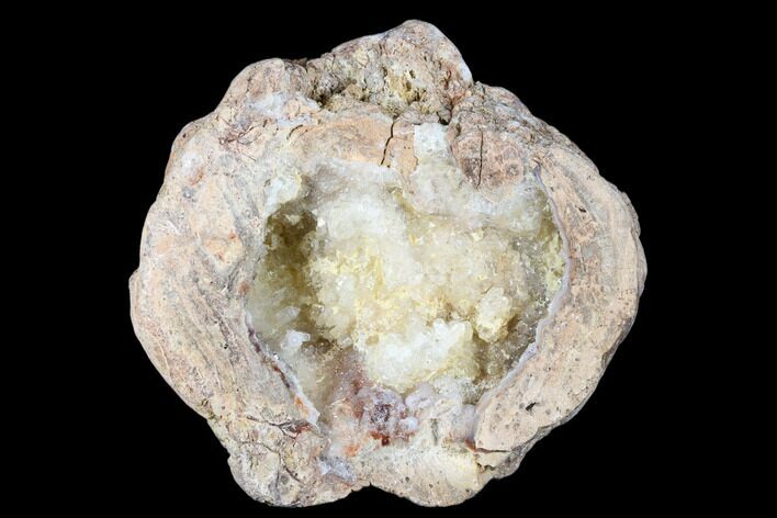 Crystal Filled Dugway Geode (Polished Half) - Utah #176746